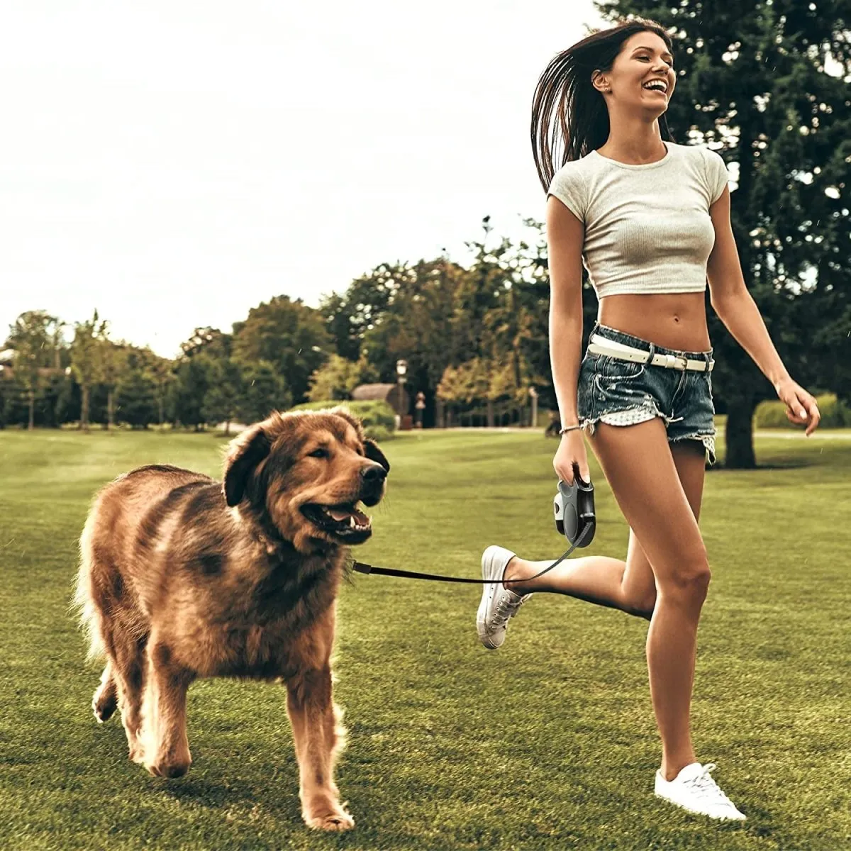 16ft Retractable Dog Leash with Dispenser and Poop Bags