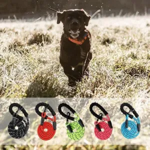5 FT Heavy-Duty Leash with Reflective Threads