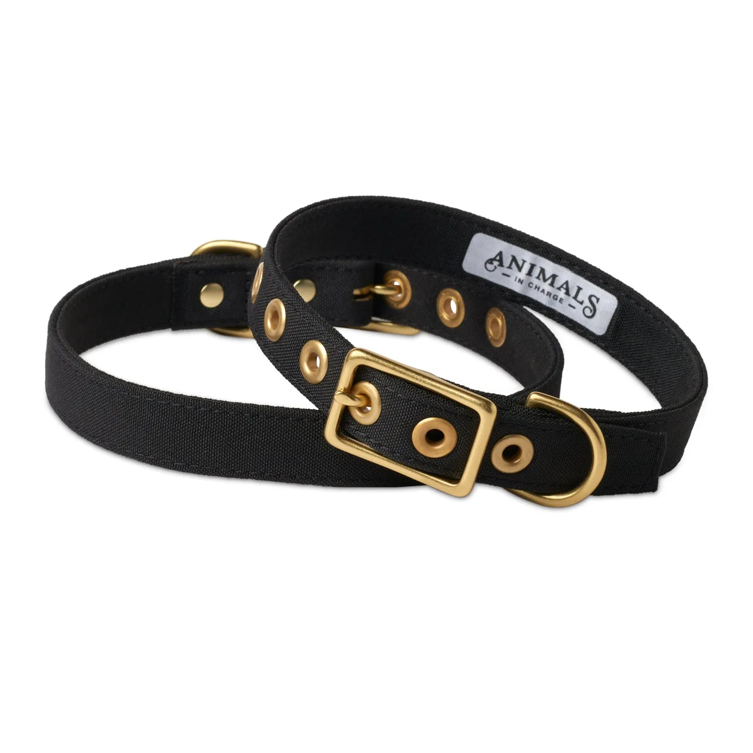 Animals In Charge Recycled Collar - Black