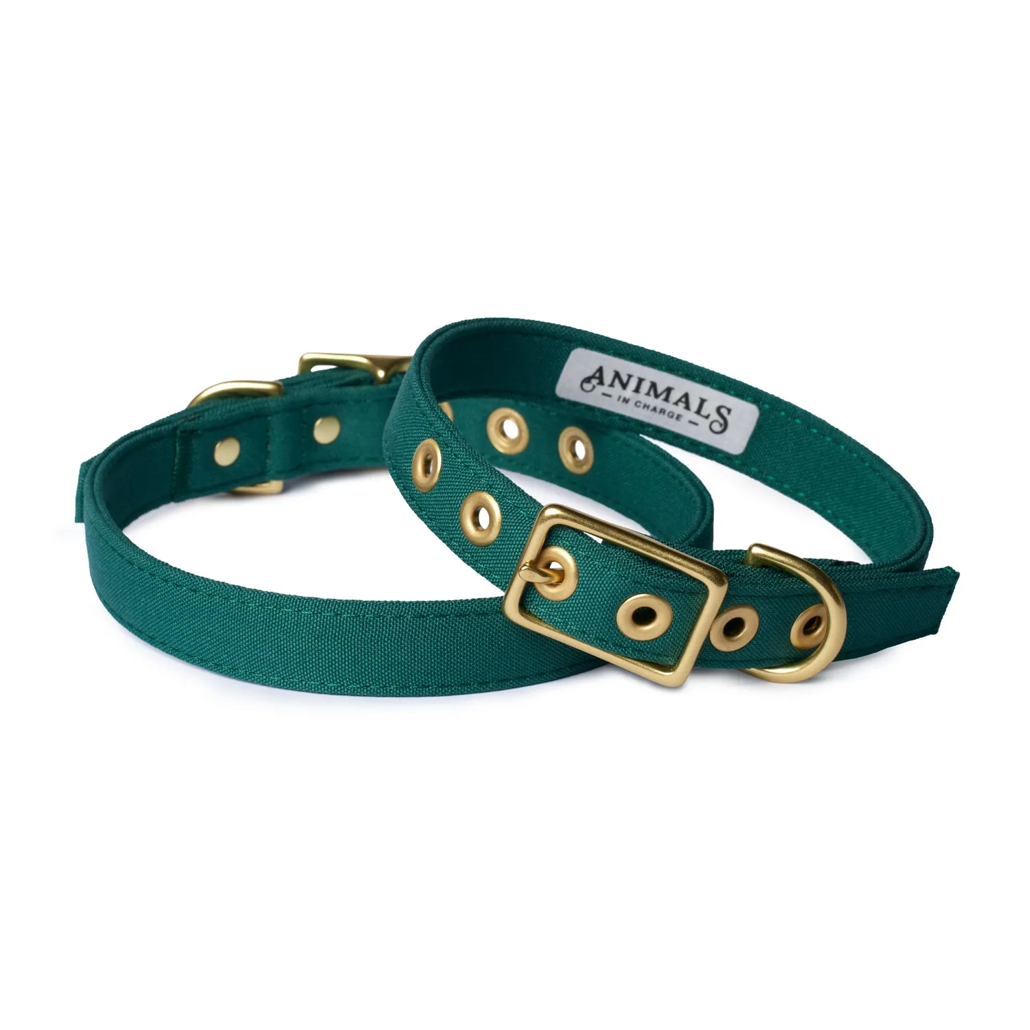 Animals In Charge Recycled Collar - Forest Green