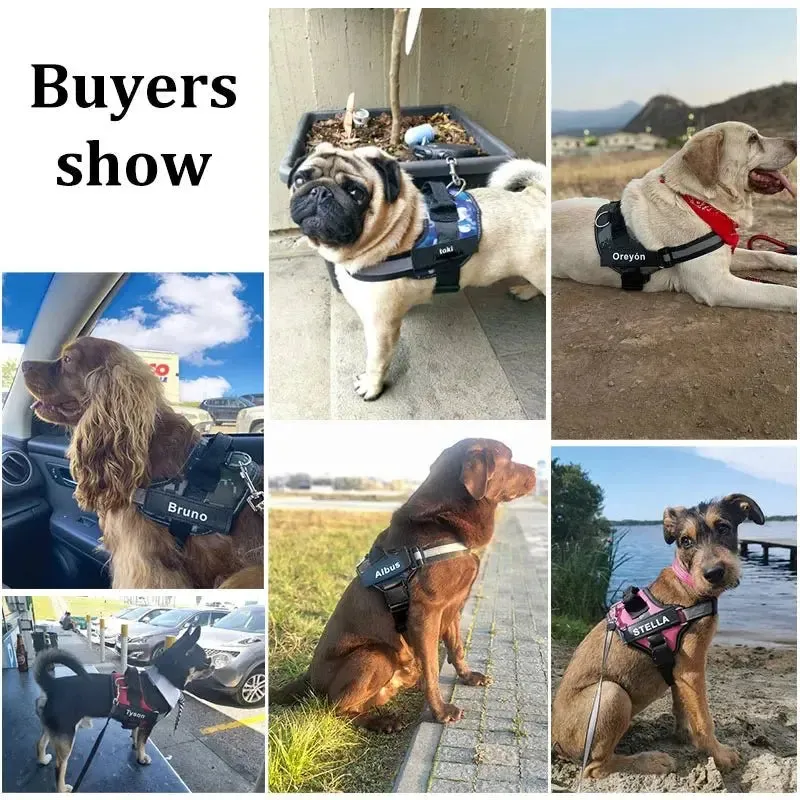 Anniepaw Reflective No-Pull Personalized Dog Harness Breathable Vest for Outdoor Activities Training for All Dog Sizes