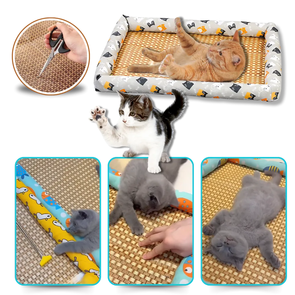 Anti-Slip Cooling Technology Pet Mat
