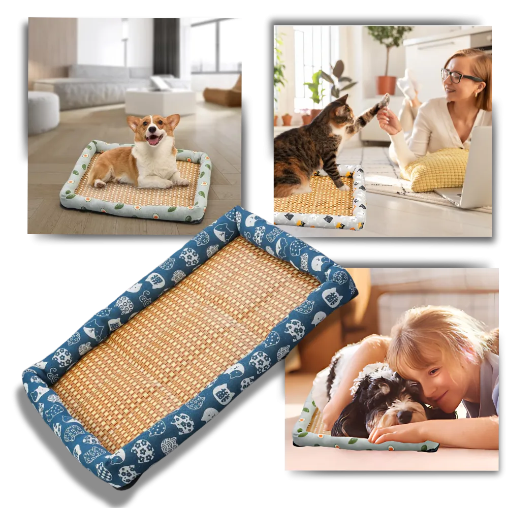 Anti-Slip Cooling Technology Pet Mat