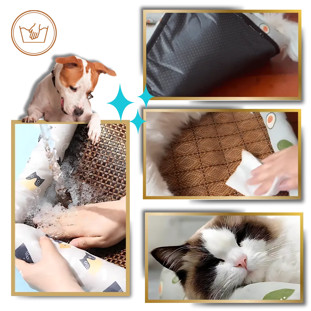 Anti-Slip Cooling Technology Pet Mat