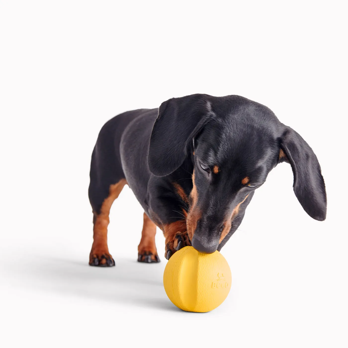Beco Fetch Ball Yellow