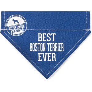 Best Boston Terrier 7" x 5" Canvas Slip on Pet Bandana