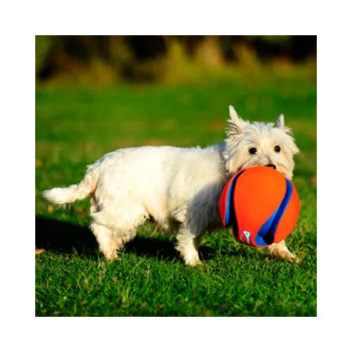 Chuckit! Large Kick Fetch Dog Toy