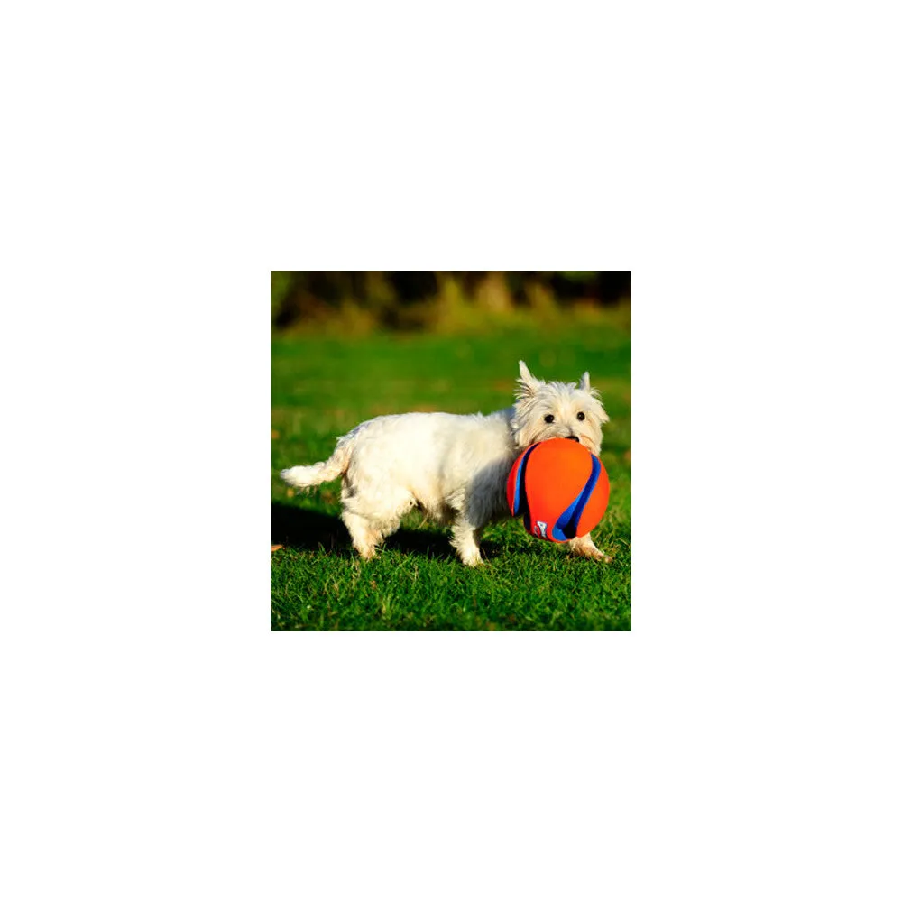 Chuckit! Large Kick Fetch Dog Toy