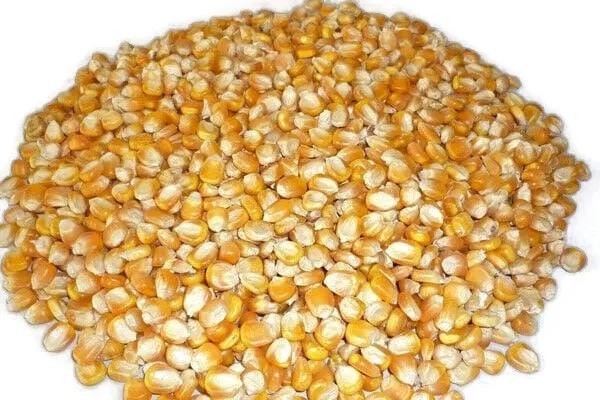 Corn Heating Pad