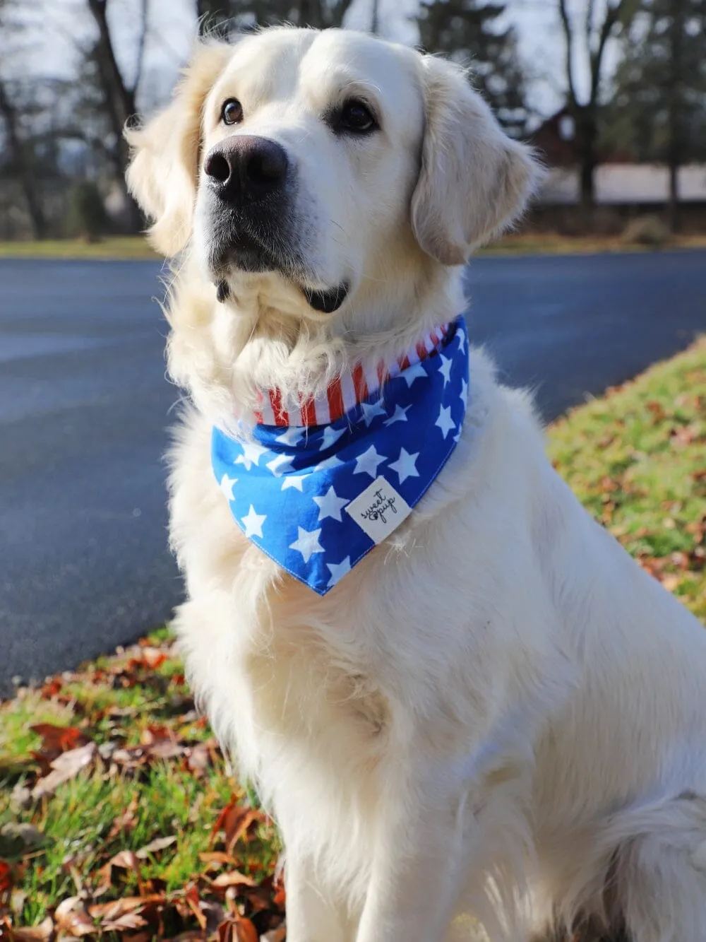 Dog Bandana - Patriotic American Flag Reversible