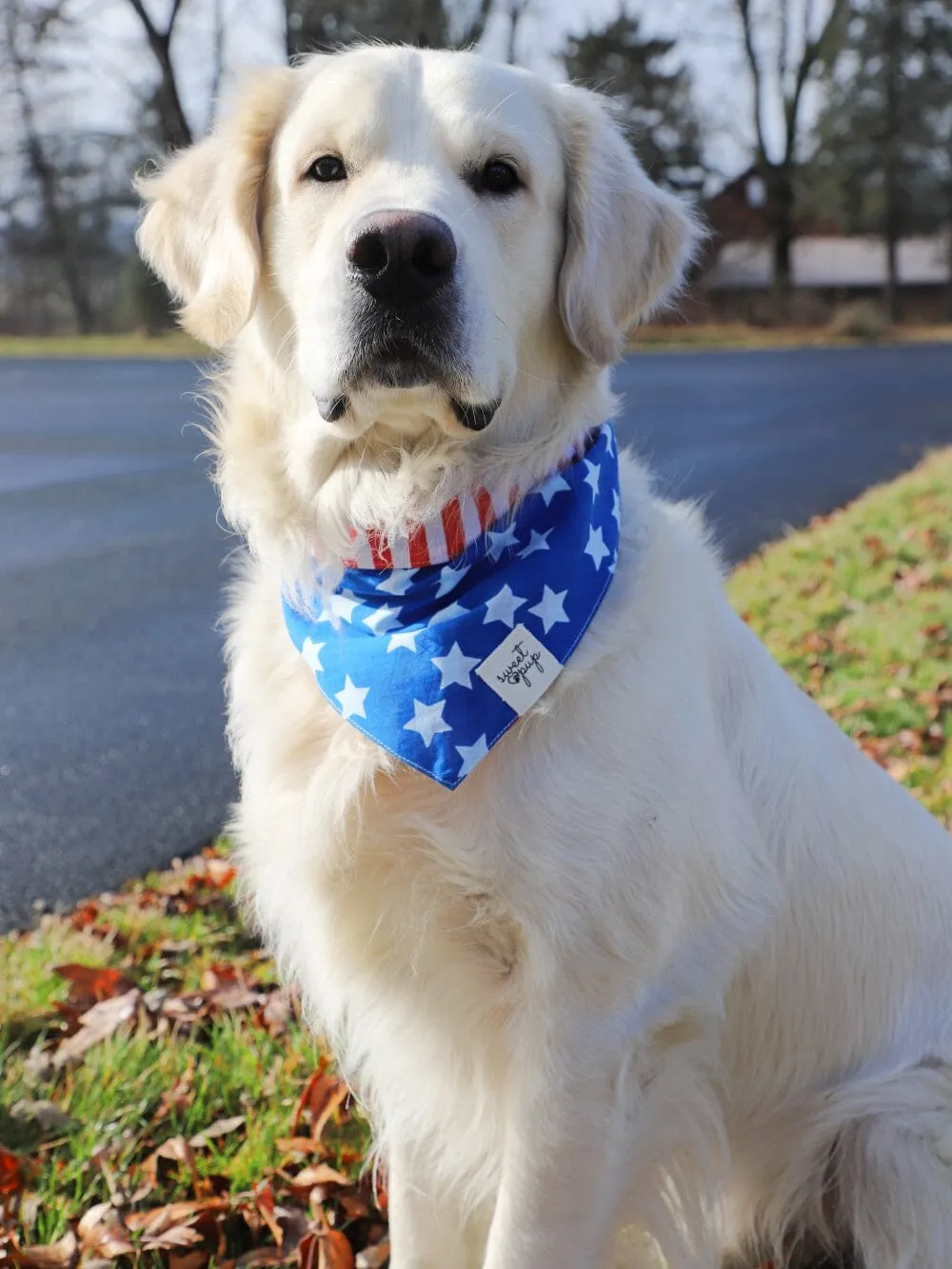 Dog Bandana - Patriotic American Flag Reversible