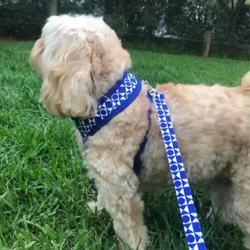 DOGUE Geometric Dog Lead