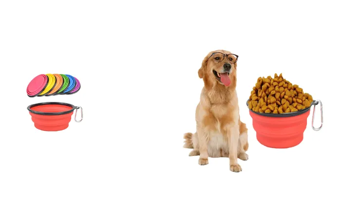 Folding Pet Bowl