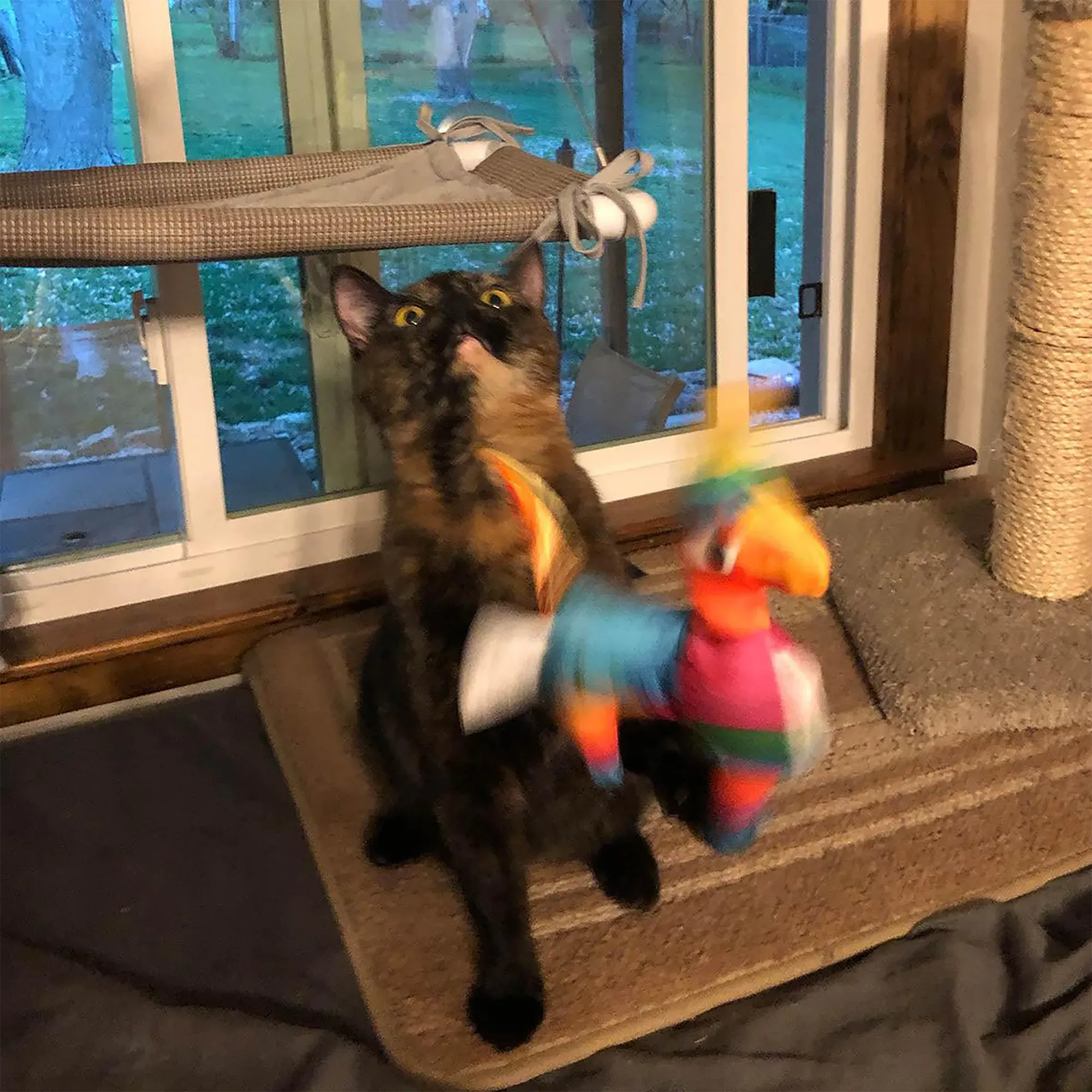 Get Smashed Llama Piñata Refillable Wand Cat Toy