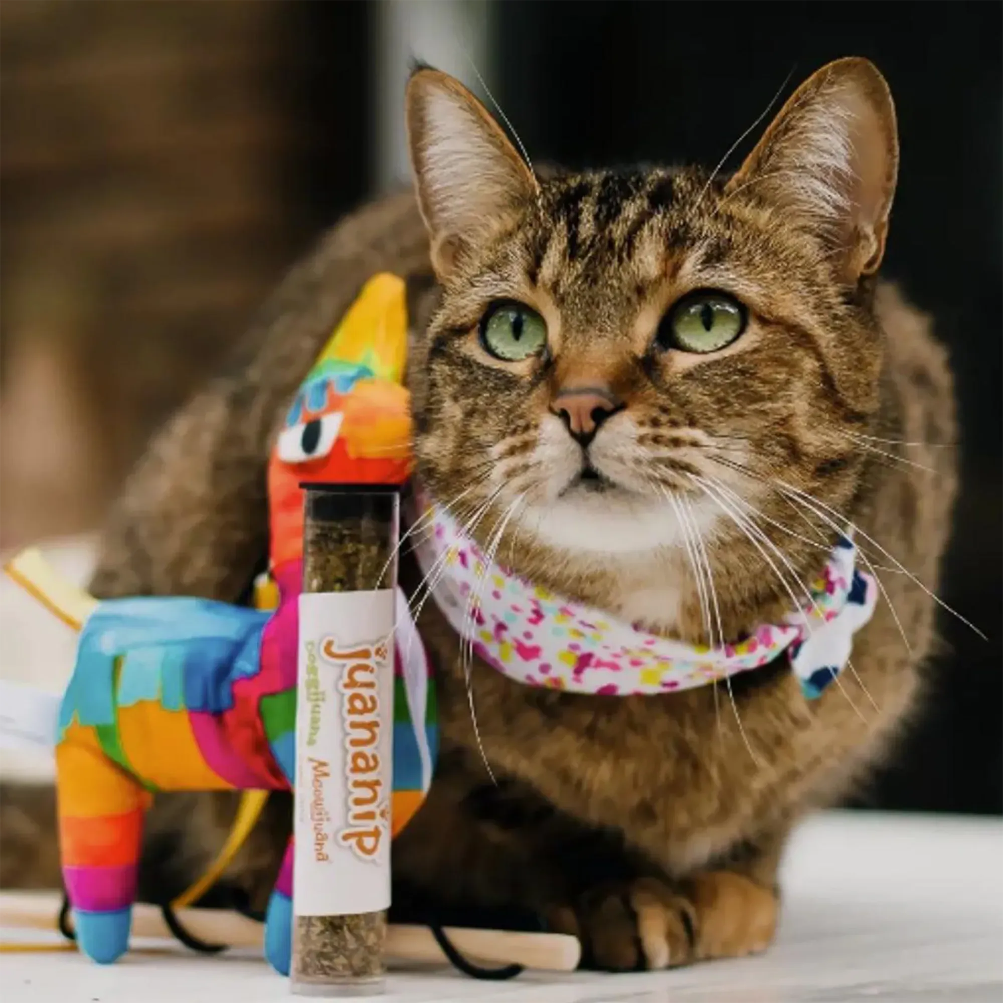 Get Smashed Llama Piñata Refillable Wand Cat Toy