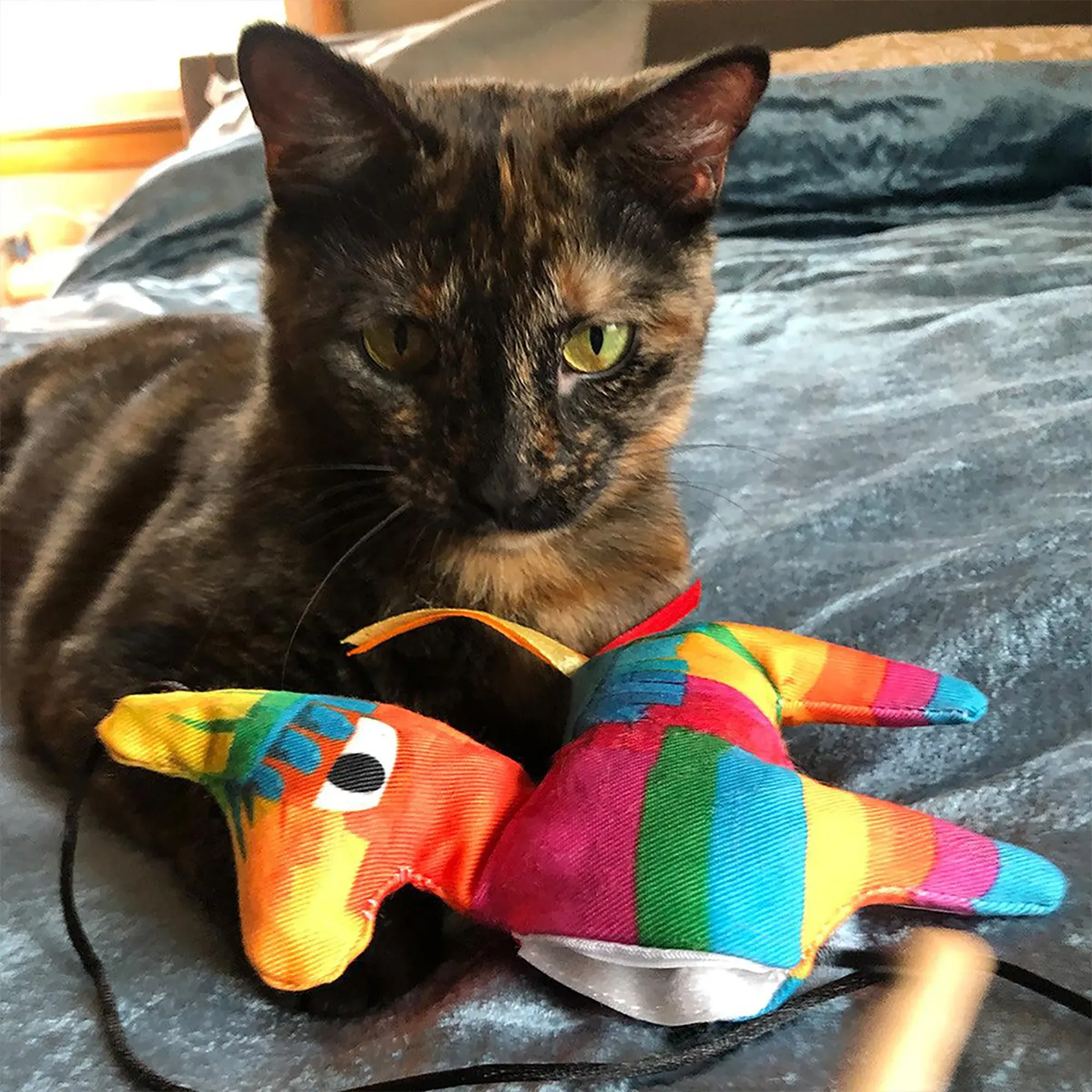 Get Smashed Llama Piñata Refillable Wand Cat Toy