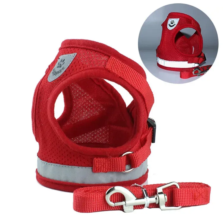 GlowSafe Pet Harness and Leash Set