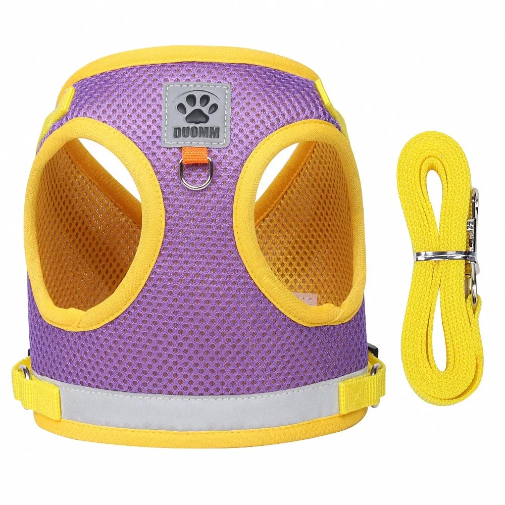 GlowSafe Pet Harness and Leash Set