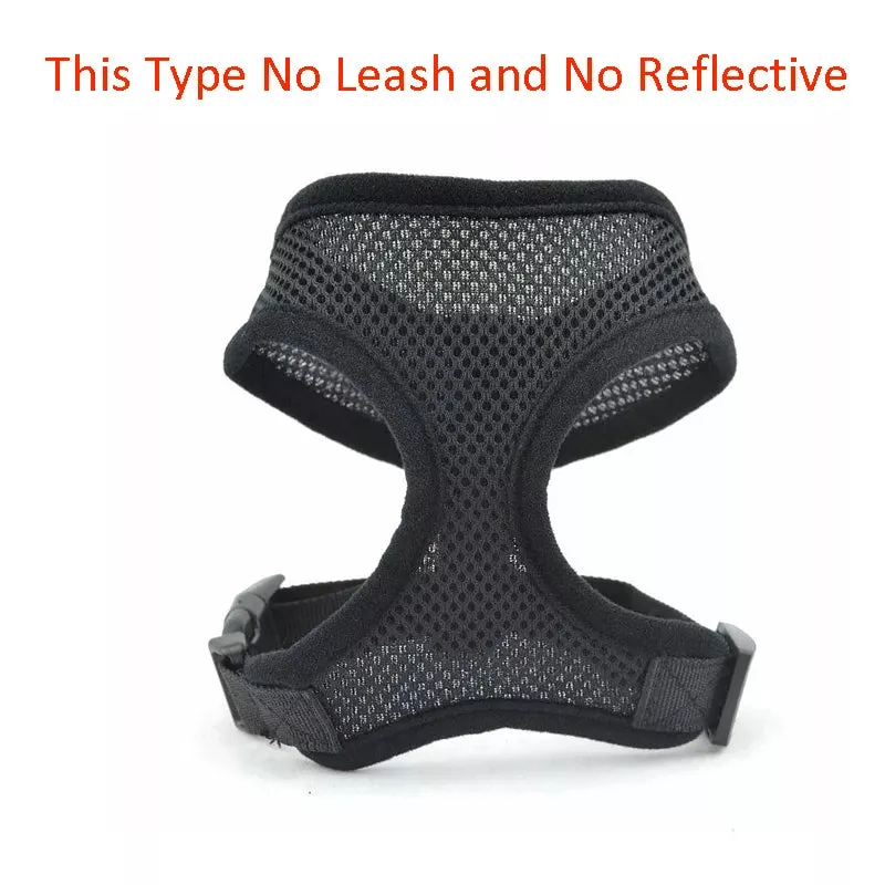 GlowSafe Pet Harness and Leash Set