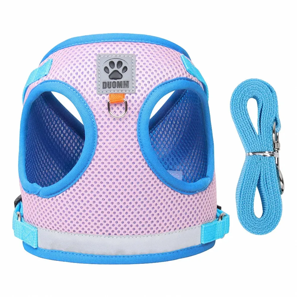 GlowSafe Pet Harness and Leash Set