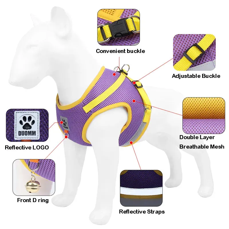 GlowSafe Pet Harness and Leash Set