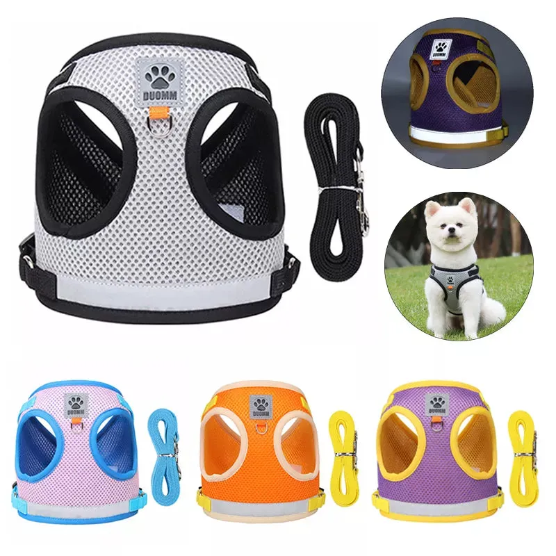 GlowSafe Pet Harness and Leash Set
