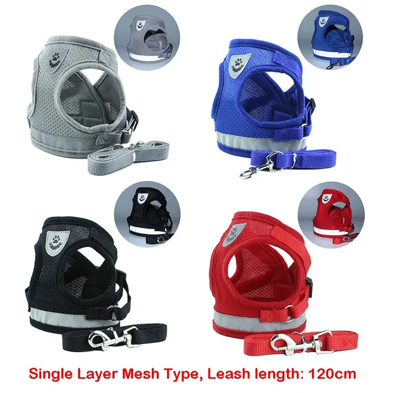 GlowSafe Pet Harness and Leash Set