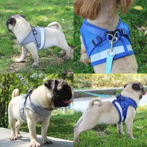GlowSafe Pet Harness and Leash Set