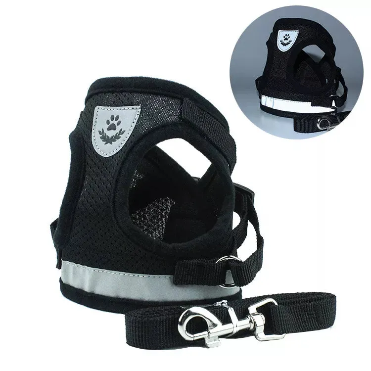 GlowSafe Pet Harness and Leash Set