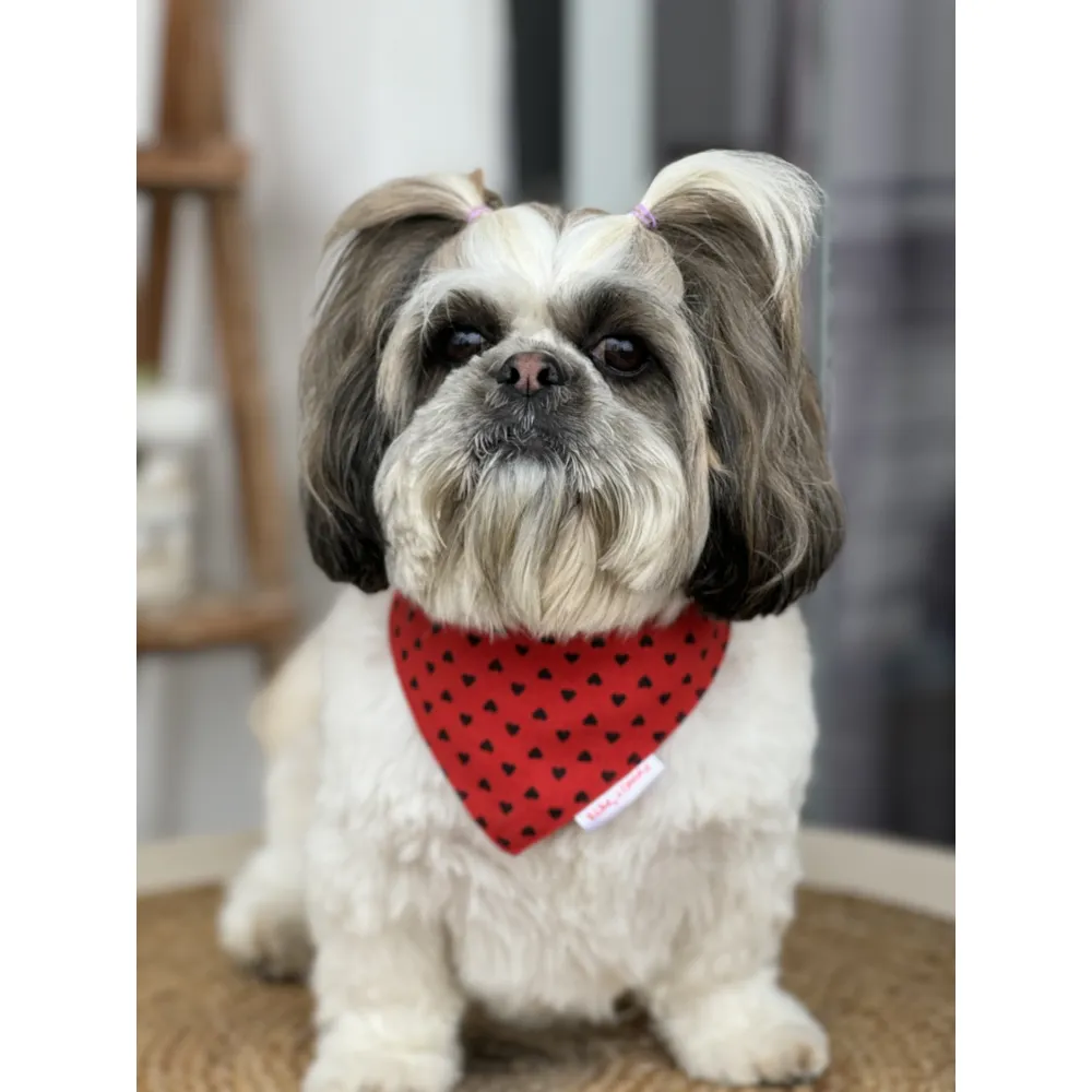 Pawgypets Heart Bandana for Dogs and Cats (Red)
