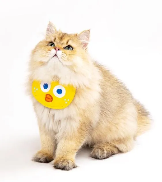 Pidan Pet Bib Collar For Cats & Dogs