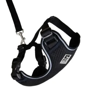 RC Kitty Adventure Harness Black