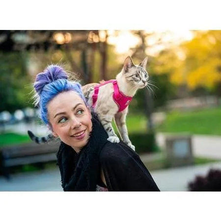 RC Kitty Adventure Harness Black