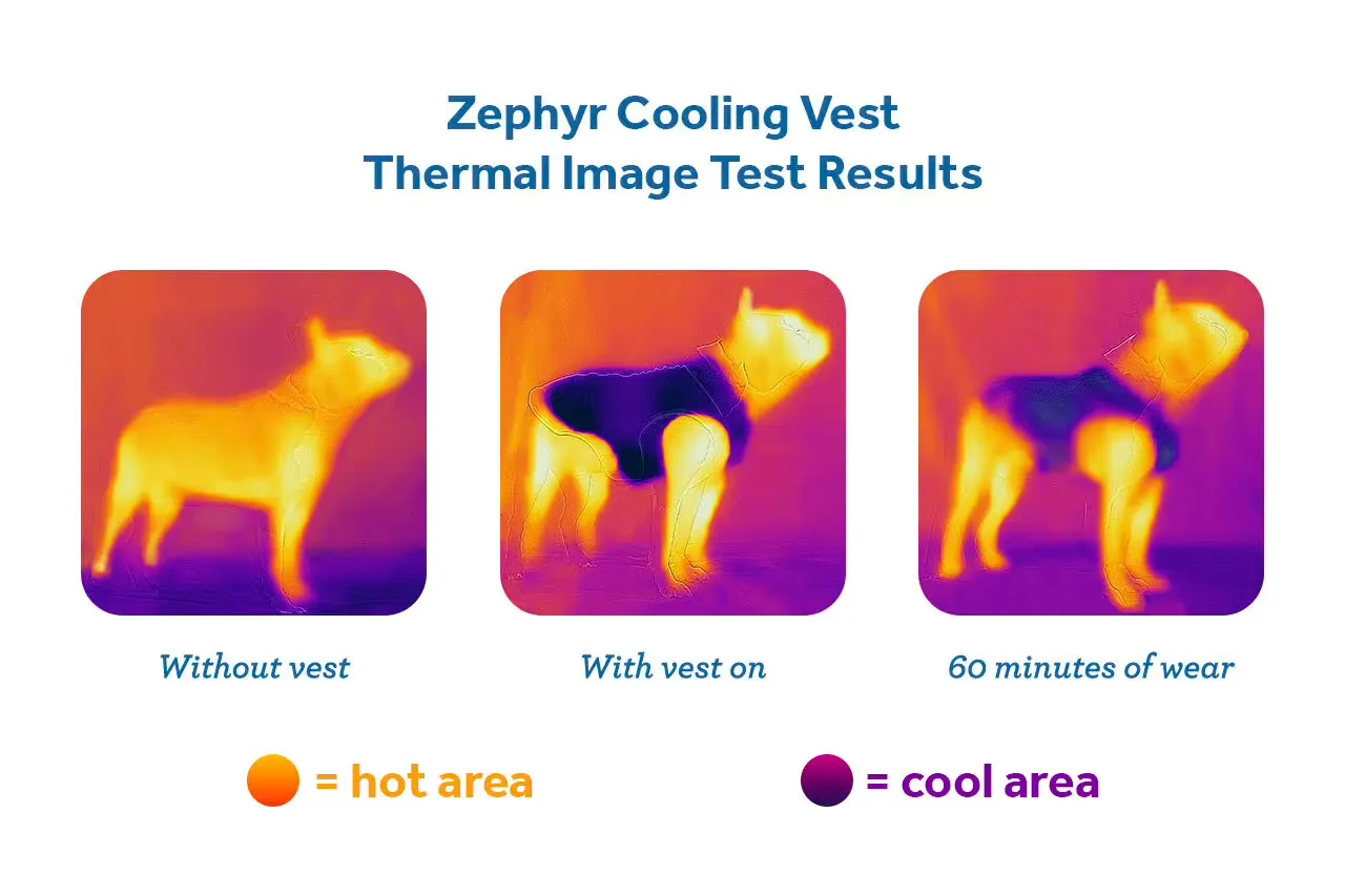 RC Pets Zephyr Cooling Vest