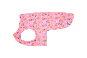 RC Pets Zephyr Cooling Vest