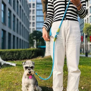 Reflective Nylon Dog Leash for Safe Hands-Free Walking