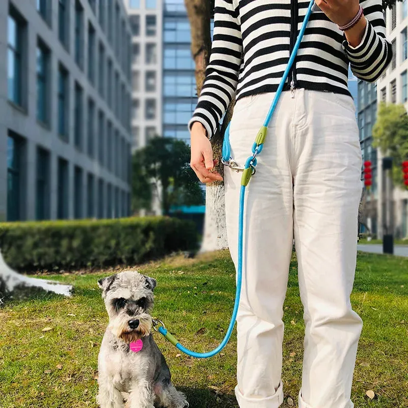 Reflective Nylon Dog Leash for Safe Hands-Free Walking