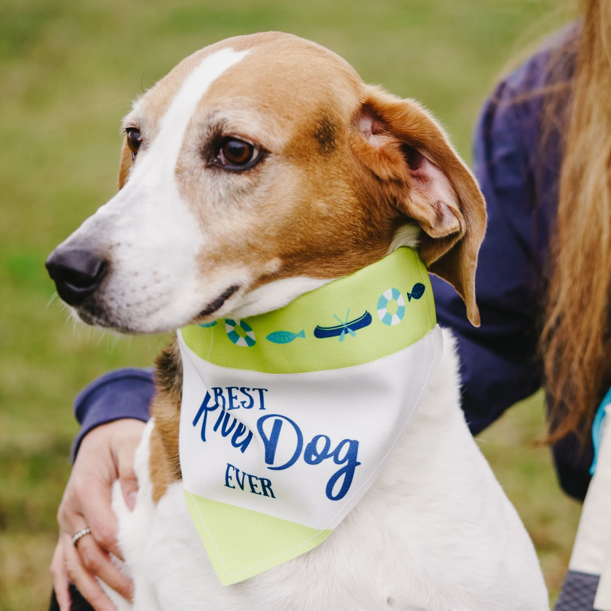 River Dog 7" x 5" Canvas Slip on Pet Bandana