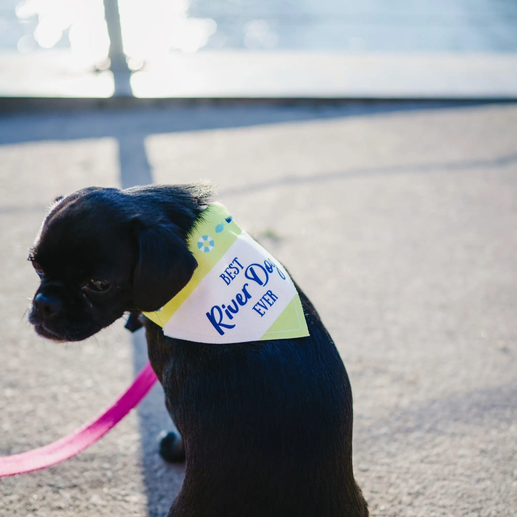 River Dog 7" x 5" Canvas Slip on Pet Bandana