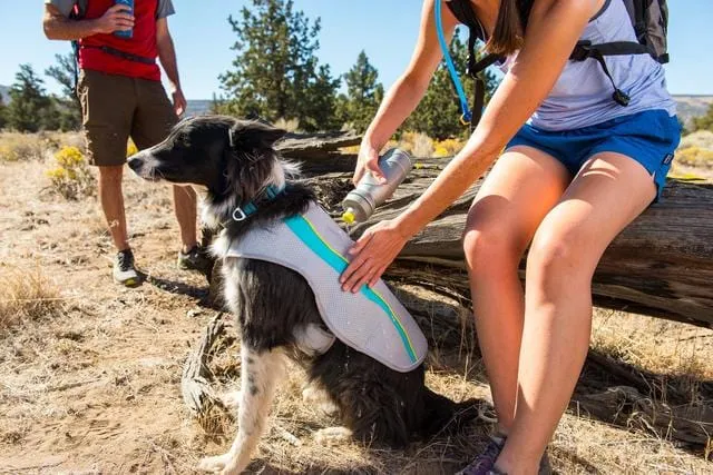 Ruffwear Swamp Cooler Cooling Dog Vest