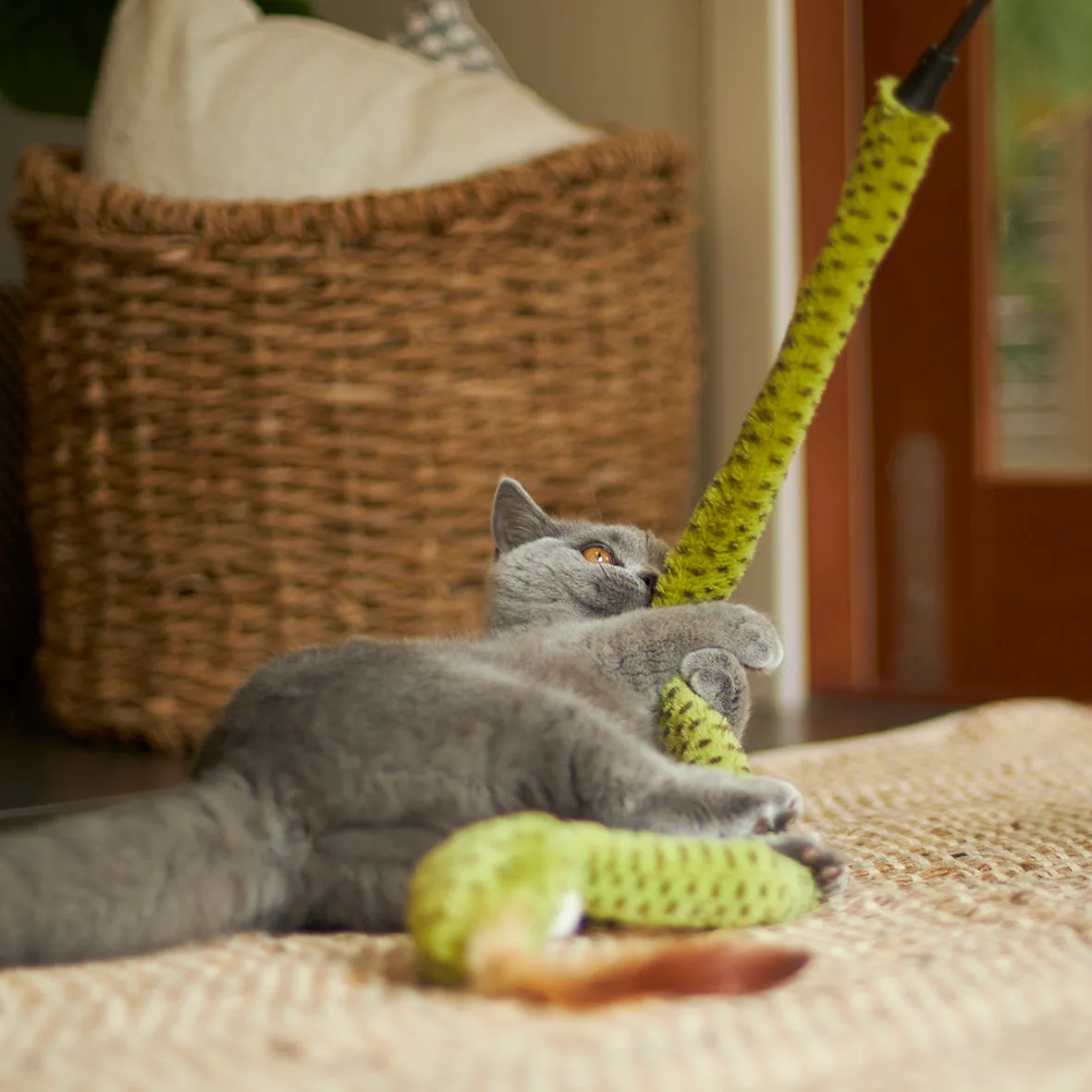 Spotty Snake Play & Chase Wand