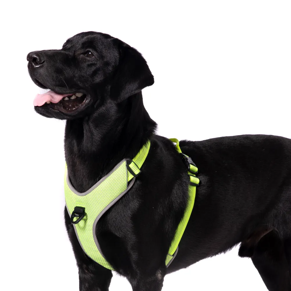Truelove Harness with Reflective Fabric for Dogs (Neon Yellow)