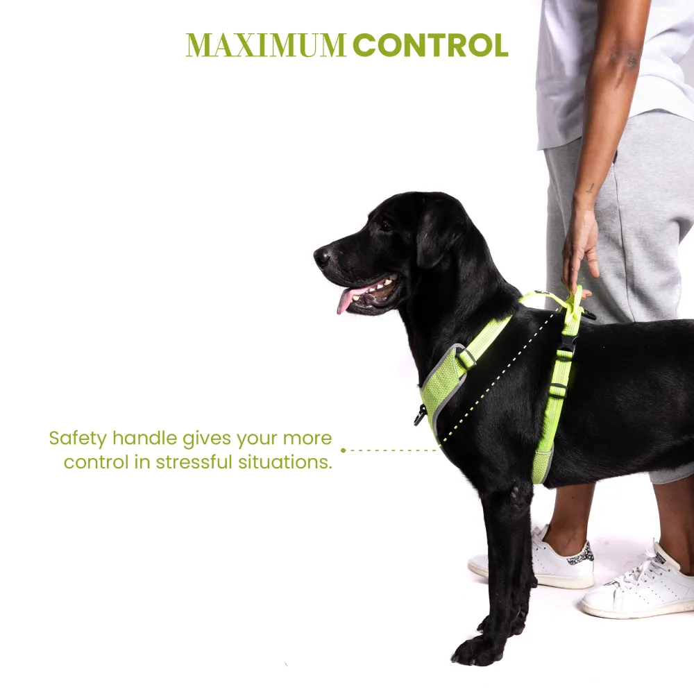Truelove Harness with Reflective Fabric for Dogs (Neon Yellow)