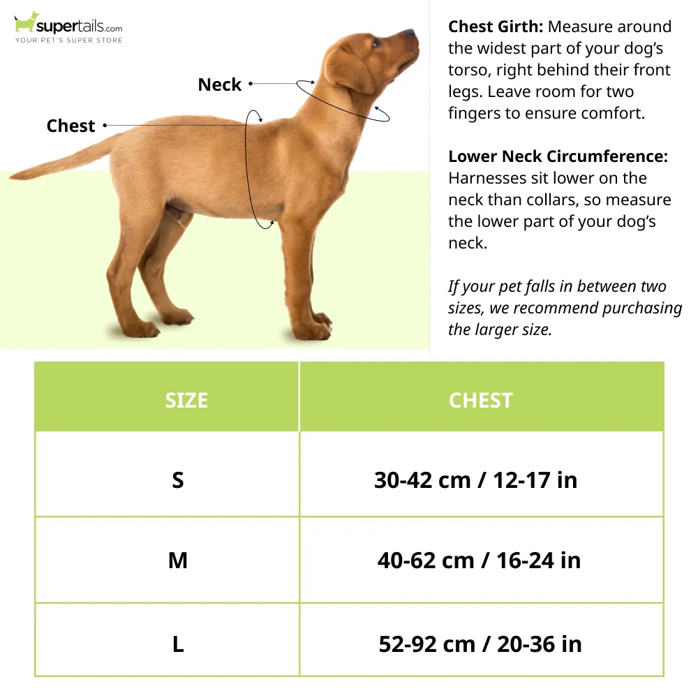 Truelove Step in Harness for Dogs (Blue)