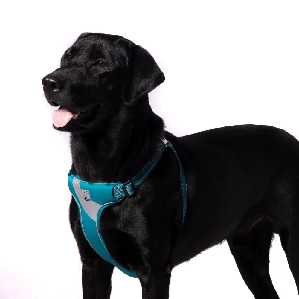 Truelove Step in Harness for Dogs (Blue)