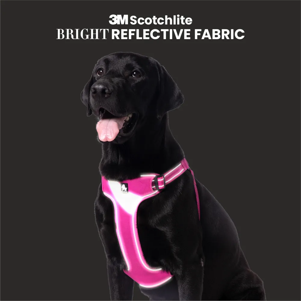Truelove Step in Harness for Dogs (Fuschia)